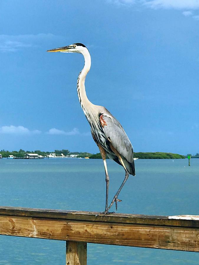 Shorewalk Full Condo Lake View Near To Beach Img Bradenton Exterior photo